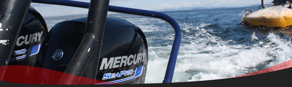 2017 Mercury Marine® Sea Pro Four Stroke for sale in Cascade Marine Center, Portland, Oregon